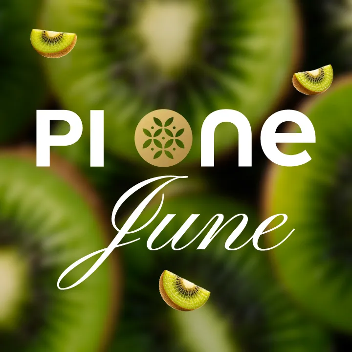 PI ONE June