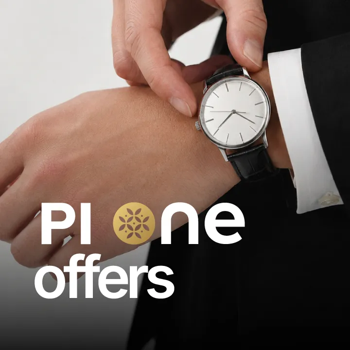 PI ONE PRIVILEGES